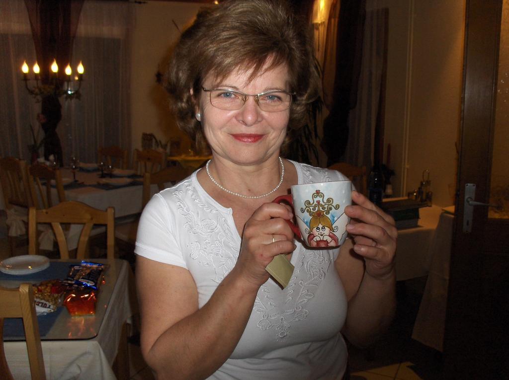 Hotel Koszeghegyalja Vendeghaz Horvátzsidány Zewnętrze zdjęcie